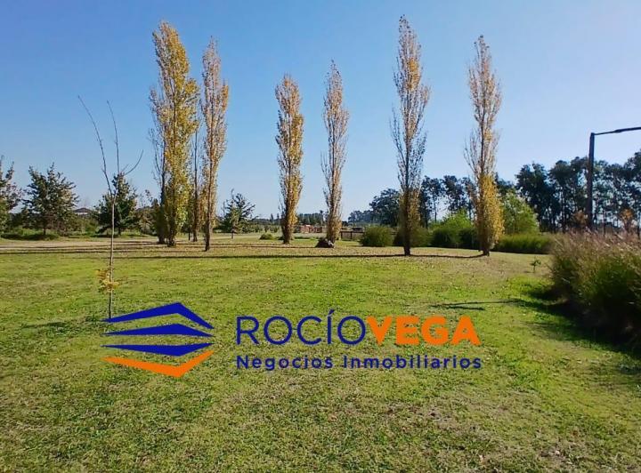 Terreno · 2250m²