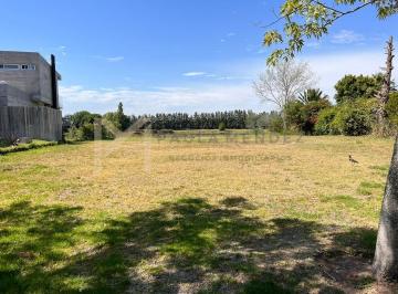 Terreno · 1005m² · Terreno Lote en Venta en Villanueva, Tigre, G. B. a. Zona Norte