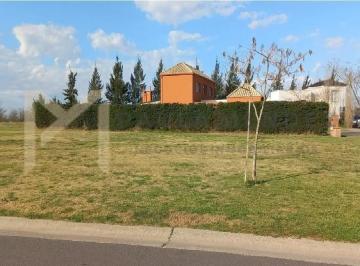 Terreno · 1000m² · Terreno Lote en Venta en San Matias - Area 1, San Matias, Escobar