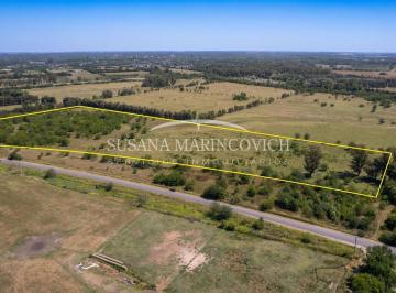 Campo · 120000m² · Fracciónde 12 Ha en Venta Sobre Ruta 41 – Mercedes