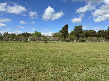 Foto Principal · Lote Venta Barrio San Sebastián - Area 12 - 926 m² #id 3124