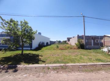 Terreno · 251m² · Venta - Terreno en Quinta Cairo - Capitán Bermúdez, San Lorenzo.
