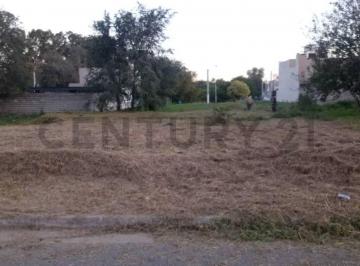 Terreno · Nuevo Urca Lote Apto Duplex