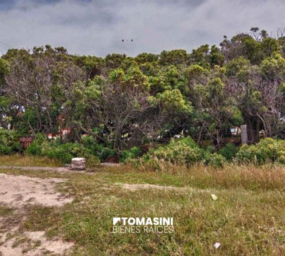 Terreno primera linea del Mar en lote de 17,32 sobre el Mar de frente por 45 fondo. Beltran y Esquiu. Parque Camet