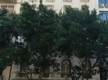 Departamento de 3 ambientes, San Telmo · Departamento 3 Ambientes