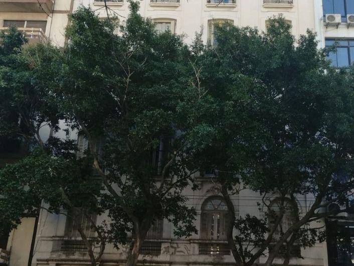 Departamento · 45m² · 3 Ambientes