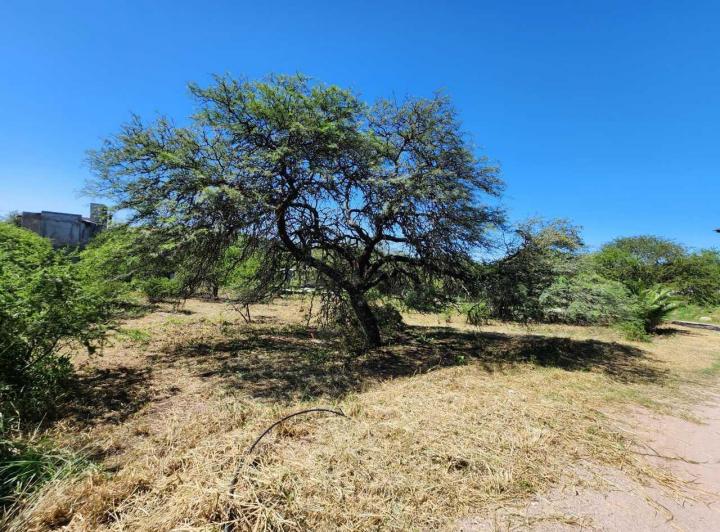 Terreno · 1010m²