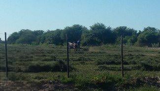 Campo · 9180000m² · Campo en Venta - 918 Hectáreas - Santiago del Estero