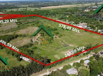 Campo · 172030m² · Campo 17,2ha - Terreno - Loma Verde - Belen de Escobar - Calle Camino de Las Toscas y Los Granaderos