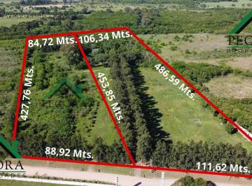 Campo · 87340m² · Campo 8,7ha - Terreno - Loma Verde - Belen de Escobar - Calle Camino de Las Toscas y Los Granaderos