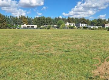 Terreno , Ezeiza · Terreno de 3686 m² en Venta con Escritura. Fincas del Alba