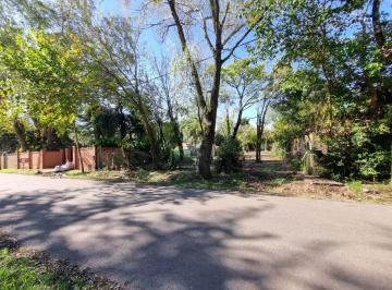 Terreno · 1260m² · Terreno en Venta, Ricardo Rojas 1260 m - Excelente Ubicacion