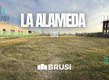 Terreno · 1000m² · Terreno en Venta de 1000 m² a La Laguna 2da Etapa