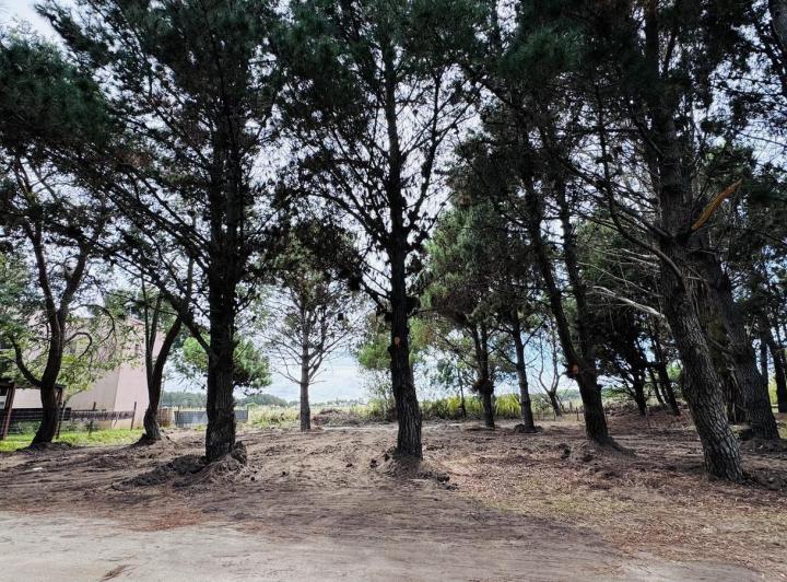 Terreno · 642m²