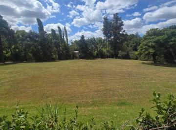 Terreno · 2100m² · Terreno Lote en Venta en El Remanso, Exaltación de La Cruz, G. B. a. Zona Norte