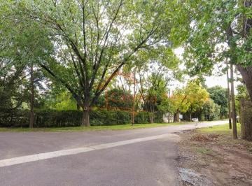 Terreno · 733m² · Terreno en Venta en Ricardo Rojas Calle Lugones