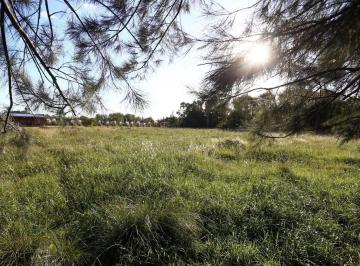 Terreno · 5000m² · Terreno en Venta en Presidente Perón