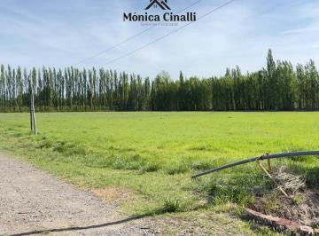 Terreno · 130000m² · Terreno en Villa Regina
