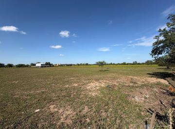 Campo · 2500m² · Venta 1 Hectárea Sobre Colectora Aup Cordoba - Rosario