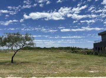 Foto Principal · Lote Venta San Sebastián - Area 8 - Interno - 800 m² #id 1824