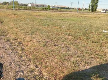 Terreno · 381m² · Terreno en Venta - 381.18 m² - General Roca, Río Negro