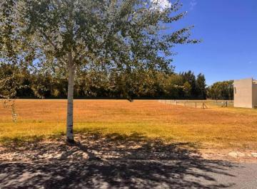 Terreno · 1500m² · Terreno en Venta - 1.500 m² - Área 60, La Plata