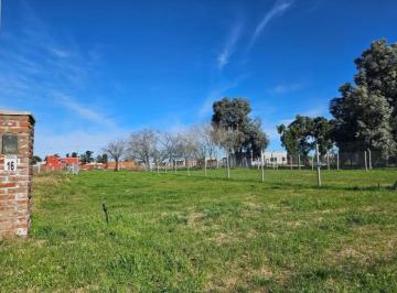 Terreno · 350m² · Terreno en Venta - 350 m² - Zelaya, Pilar
