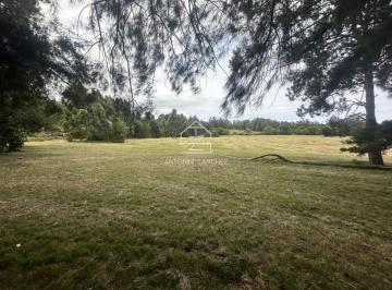 Foto1 · Venta Chacra en Punta Ballena