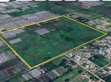 Campo · 310000ha · Campo en La Plata 179 y 419