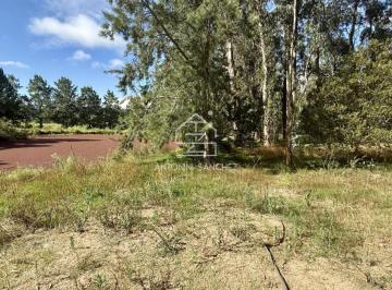 Foto1 · Venta Terreno Mangrullos El Chorro La Barra Punta del Este
