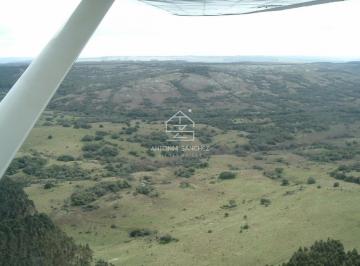 Foto1 · Venta Campo Ganadero Forestal Rocha