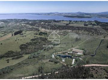 Foto1 · Venta 5 Chacras Punta del Este - Ecuestres