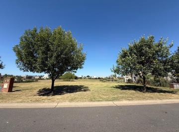 IMG_5787.jpg · Venta de Excelente Lote 887 m² en Área 12, San Sebastián, Orientación Norte
