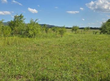 Terreno , Villa General Belgrano · - Terreno 517 m² Sobre Ruta 109, Villa General Belgrano