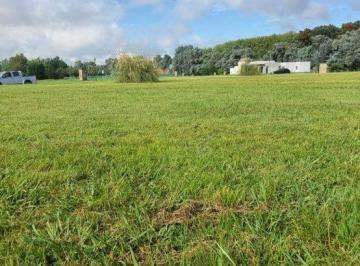 Terreno · 1494m² · Venta Lote Medal Country Club Golf Pilar