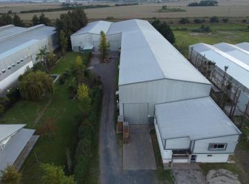Bodega-Galpón · 1465m² · 6 Ambientes · Nave 1.465 m² - Parque Industrial Alvear
