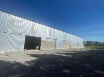 Bodega-Galpón · 3600m² · Nave 3.600 m² - Presidente Perón 9295