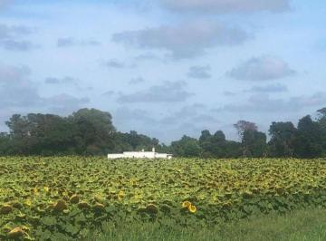 Campo · 32000m² · Campo en Venta - 32.000 m² - General Juan Madariaga