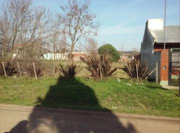 Terreno · 556m² · Terreno Venta 12,5x44,5 - 556 m² Totales - Lujan