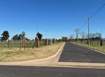 Terreno · 375m² · Ram. Oportunidad Lote Interno en Nueva Zelaya 1