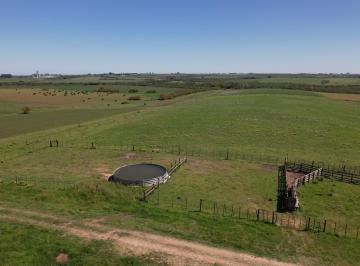 Campo · 640000ha · Muy Buen Campo Mixto de 64 Has en Zona de Nueva Palmira
