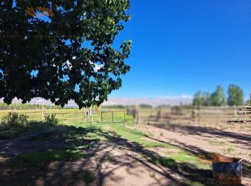Campo · 80m² · Venta de