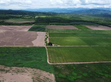Campo · 15000000m² · Finca en Venta de 1500 Ha Coronel Moldes, La Viña, Salta