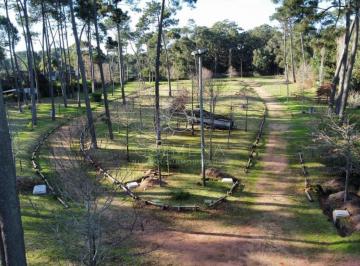 Foto1 · Oportunidad de Inversión, en Pinares Punta del Este