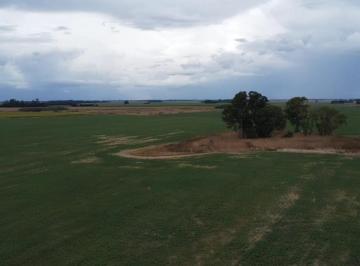 Campo · 30000m² · Venta 3 Ha en Tandil