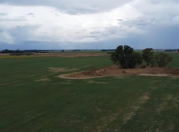 Campo · 30000m²