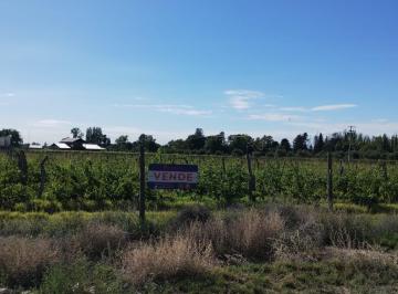 Terreno · 20000ha · Inmobiliari Micheletti Vende Terreno en Callejon de La Virgen, Vistalba