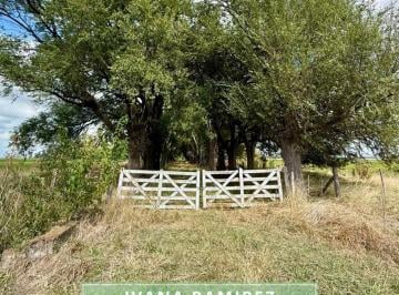 Terreno · 830000m² · Se Vende Excelente Campo de 83 Hectáreas Ubicado en La Zona Rural de Carlos Keen, Luján.