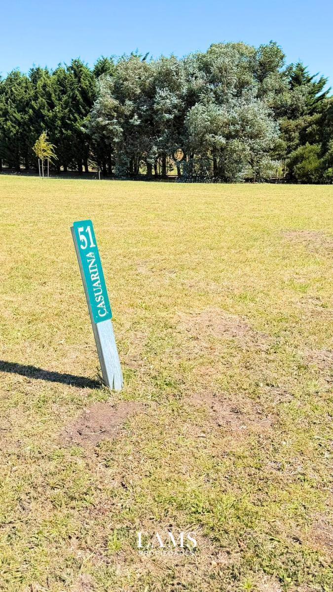 Terreno en Jorge Newbery de 611 m²