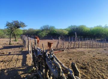 Campo , Santiago del Estero · Venta de Campo - Santiago del Estero